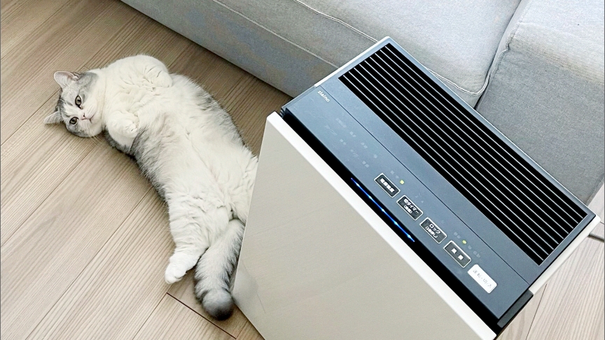  altテキストが入ります